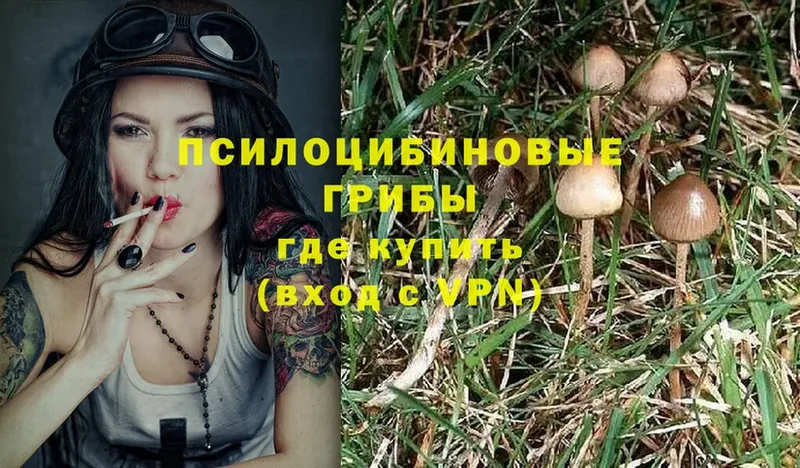 Галлюциногенные грибы Magic Shrooms  Володарск 