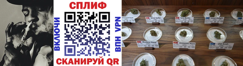 даркнет телеграм  наркотики  Володарск  Бошки Шишки Ganja 